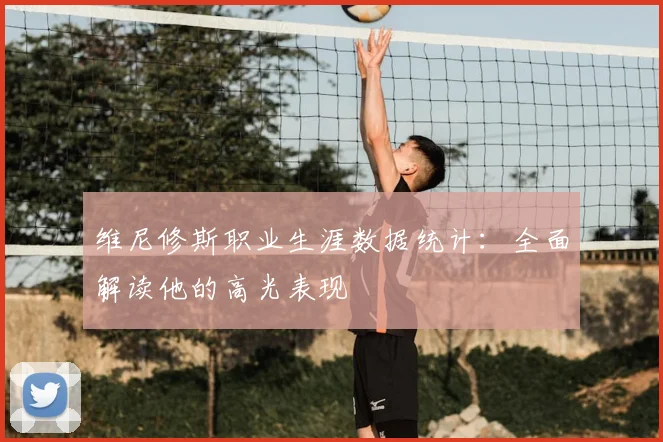维尼修斯职业生涯数据统计：全面解读他的高光表现