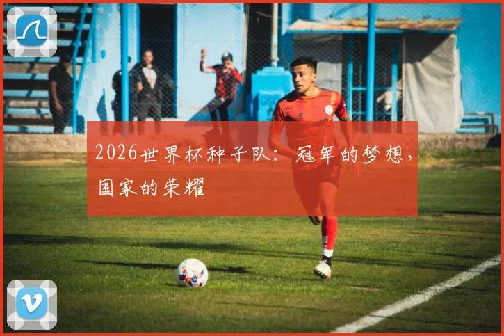 2026世界杯种子队：冠军的梦想，国家的荣耀
