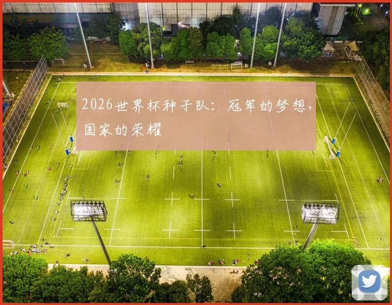 2026世界杯种子队:冠军的梦想,国家的荣耀