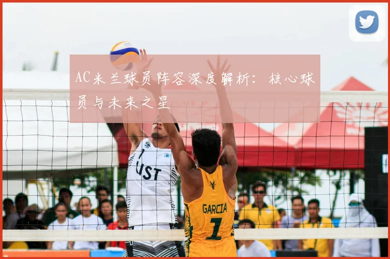 AC米兰球员阵容深度解析：核心球员与未来之星