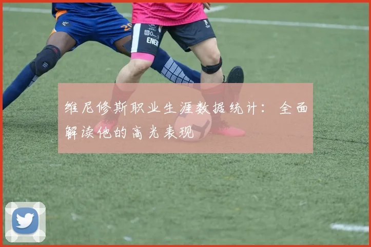 维尼修斯职业生涯数据统计:全面解读他的高光表现